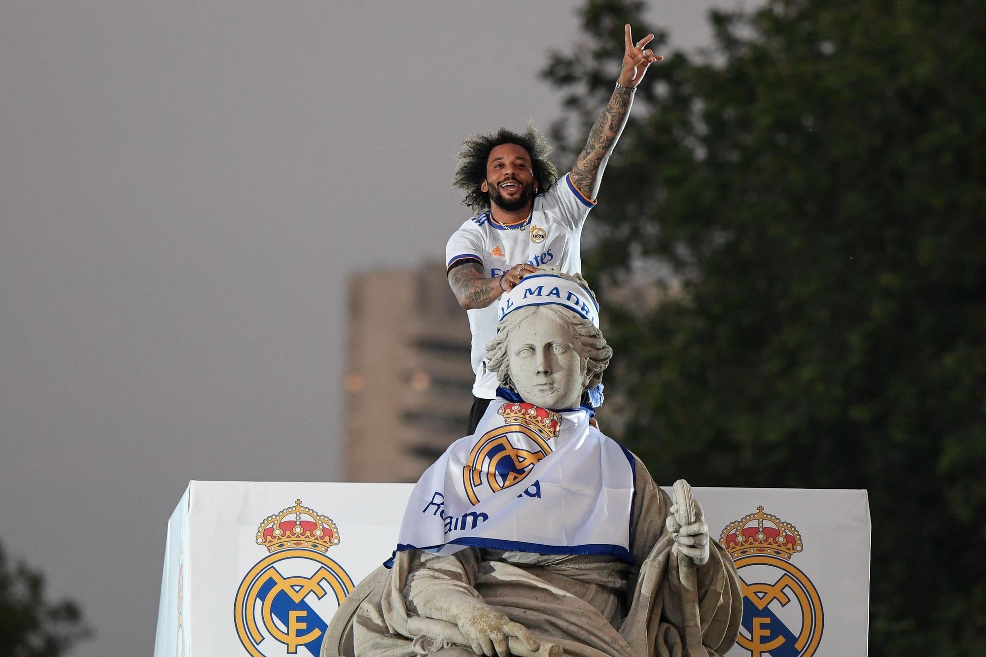 这样的特质 这样的特质